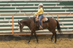 PCSChorseshow62214_IMG_4804
