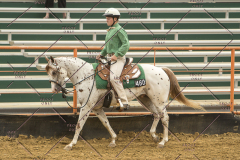 PCSChorseshow62214_IMG_4808