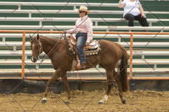 PCSChorseshow62214_IMG_4888