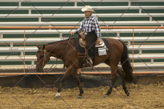 PCSChorseshow62214_IMG_4902