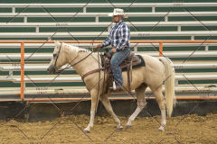 PCSChorseshow62214_IMG_4966