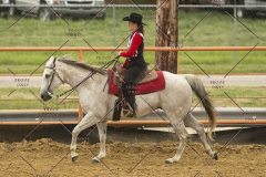 PCSChorseshow62214_IMG_4977