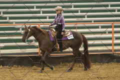 PCSChorseshow62214_IMG_4995