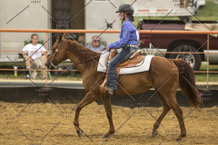 PCSChorseshow62214_IMG_5003