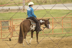 PCSChorseshow62214_IMG_5012