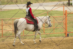PCSChorseshow62214_IMG_5018