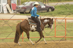 PCSChorseshow62214_IMG_5026