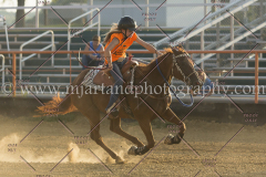 PCSC081515_3925
