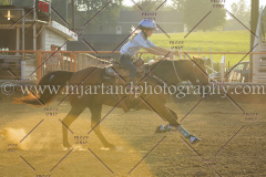 PCSC081515_3933