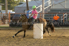 PCSC081515_3941