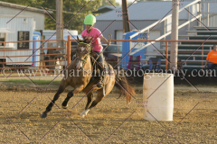 PCSC081515_3943