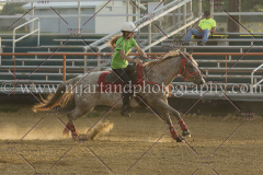 PCSC081515_4002
