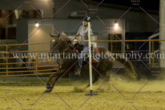 PCSC081515_4393