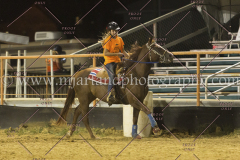 PCSC081515_4420