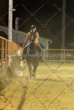 PCSC081515_4458