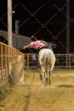PCSC081515_4504