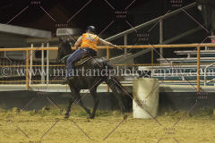 PCSC081515_4546