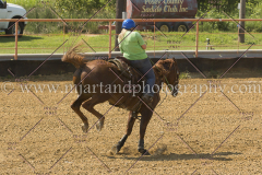 PCSC081515_2652