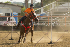 PCSC081515_3064
