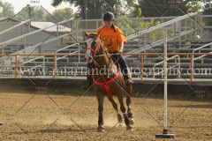 PCSC081515_3066