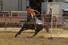 PCSC081515_3161