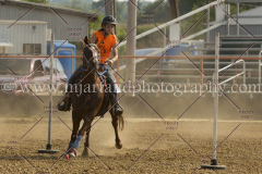 PCSC081515_3166