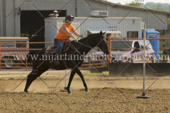 PCSC081515_3221