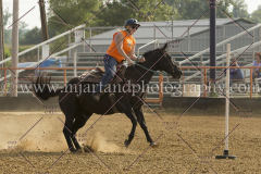 PCSC081515_3225