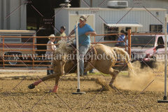 PCSC081515_3368