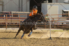 PCSC081515_3452