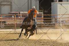 PCSC081515_3472