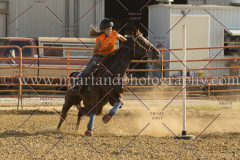 PCSC081515_3566