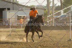 PCSC081515_3648