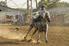 PCSC081515_3679