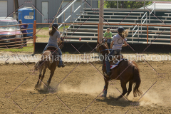 PCSC081515_2418