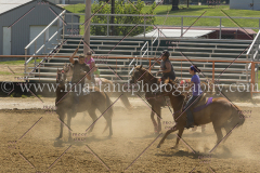 PCSC081515_2442