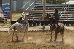 PCSC081515_2488