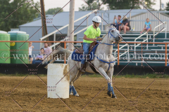 PC4HFair2015_9079_notforcopy