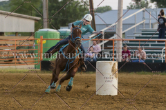 PC4HFair2015_9090_notforcopy