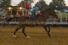 PC4HFair2015_9154_notforcopy