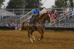 PC4HFair2015_9160_notforcopy