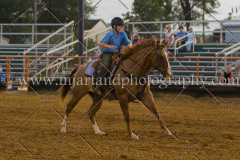 PC4HFair2015_9161_notforcopy