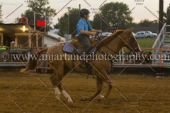 PC4HFair2015_9162_notforcopy
