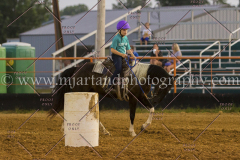 PC4HFair2015_9166_notforcopy