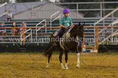 PC4HFair2015_9169_notforcopy