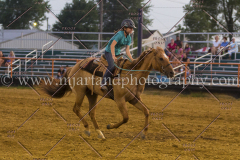 PC4HFair2015_9184_notforcopy