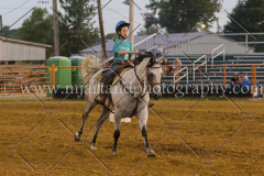 PC4HFair2015_9191_notforcopy