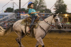 PC4HFair2015_9193_notforcopy