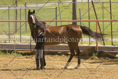 PC4HFair2015_5751_notforcopy