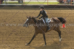 PC4HFair2015_5931_notforcopy